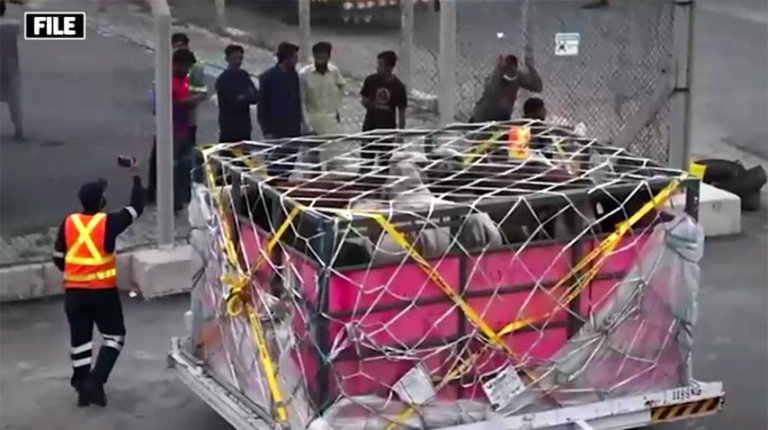 Pakistan, Brazil to expand collaboration in livestock sector