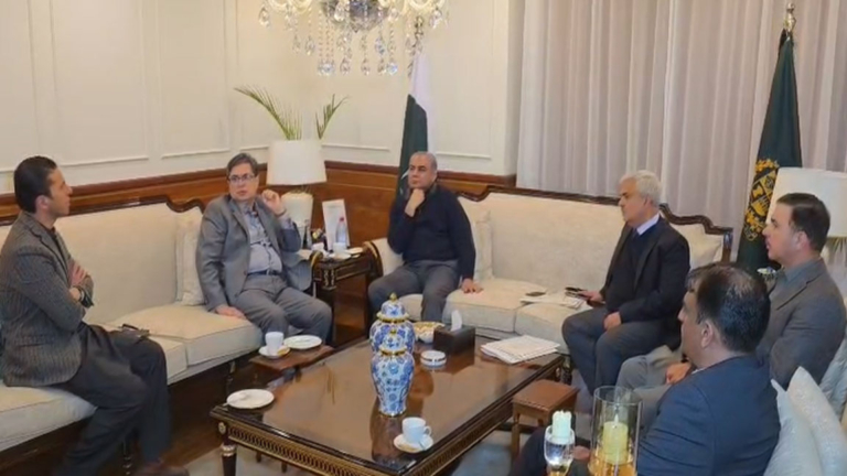 Mohsin directs strict action against immigration mafias