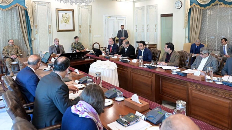 PM Shehbaz directs banks to ease cCredit for SMEs, farmers