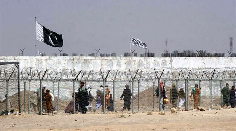 Afghan Taliban regime's patronage of terrorist elements continues to undermine peace efforts