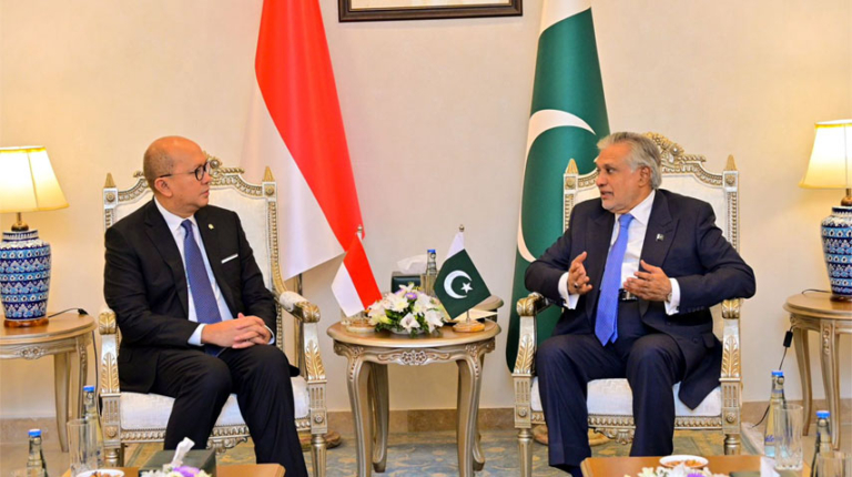 Pakistan, Indonesia discuss strengthening bilateral ties