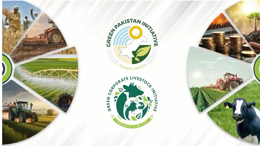 Pakistan’s first gender-sorted straw lab established in Okara