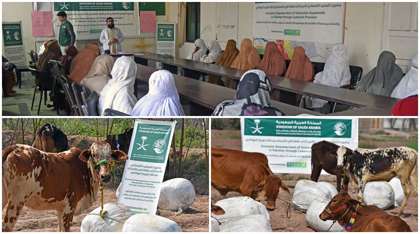 KSrelief completes Livestock-Based Economic Empowerment Project in Pakistan