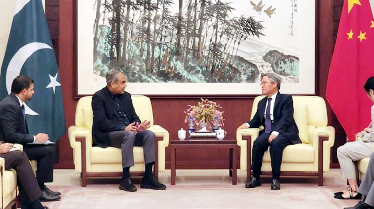 Naqvi announces Special Protection Unit for foreigners