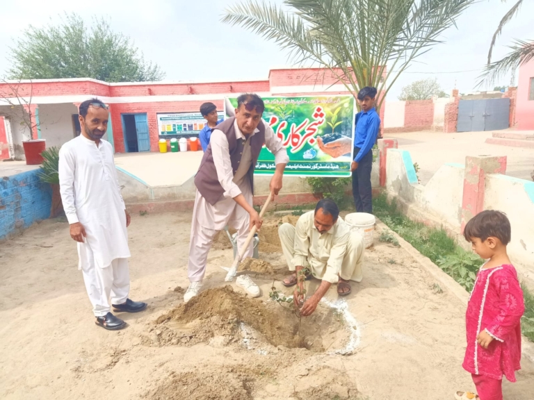 Tree Plantation Drive Launched at Government Elementary School Zafarabad
