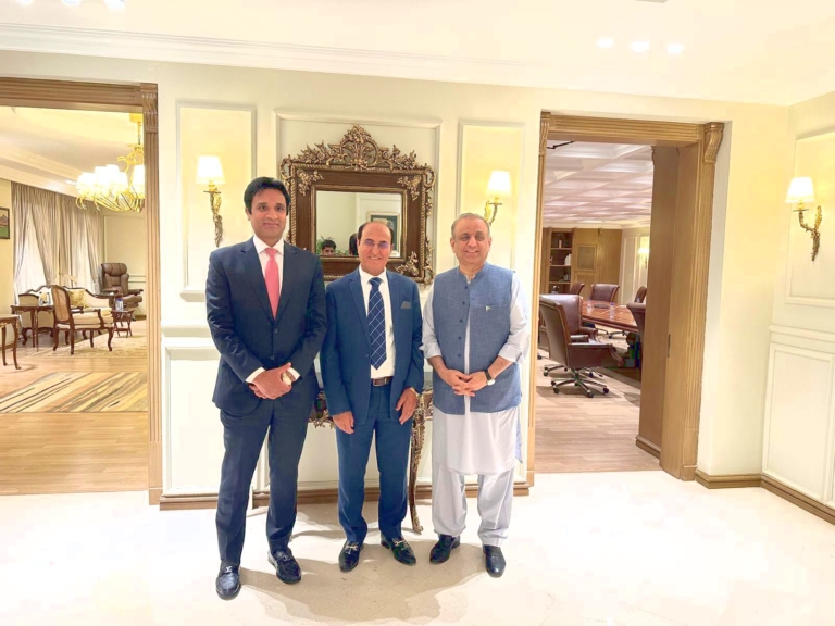 Focus on Resolving Overseas Pakistanis’ Issues and Promoting Investment