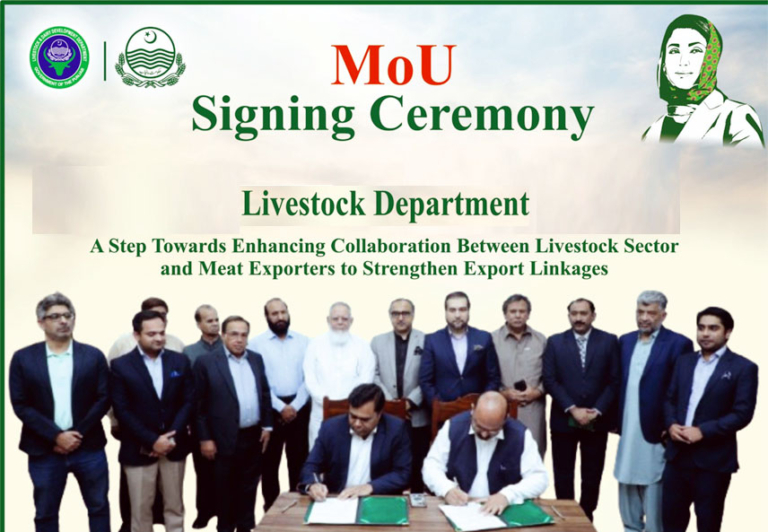 Punjab Govt signs MoU to promote livestock sector