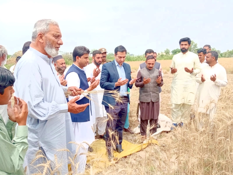 Wheat Harvest Inauguration Ceremony Held at Mitha Tiwana